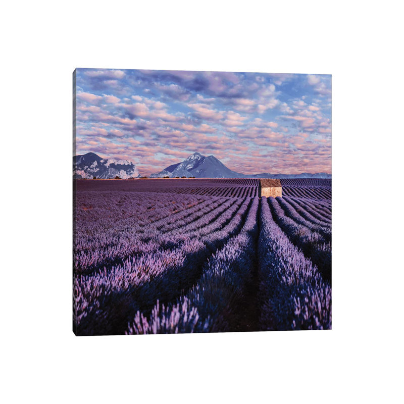 « Lavander clouds » par Hobopeeba-reproduction d’art, Toile tendue, Pas de tapis, H 26 po x l 26 po x P 1,5 po
