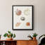 Toile encadrée Pastel Knorr Shells-1932138127-1932138123
