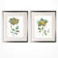 « simple pétales i », ensemble de 2 reproductions de peintures à l’acrylique encadrées-28785934