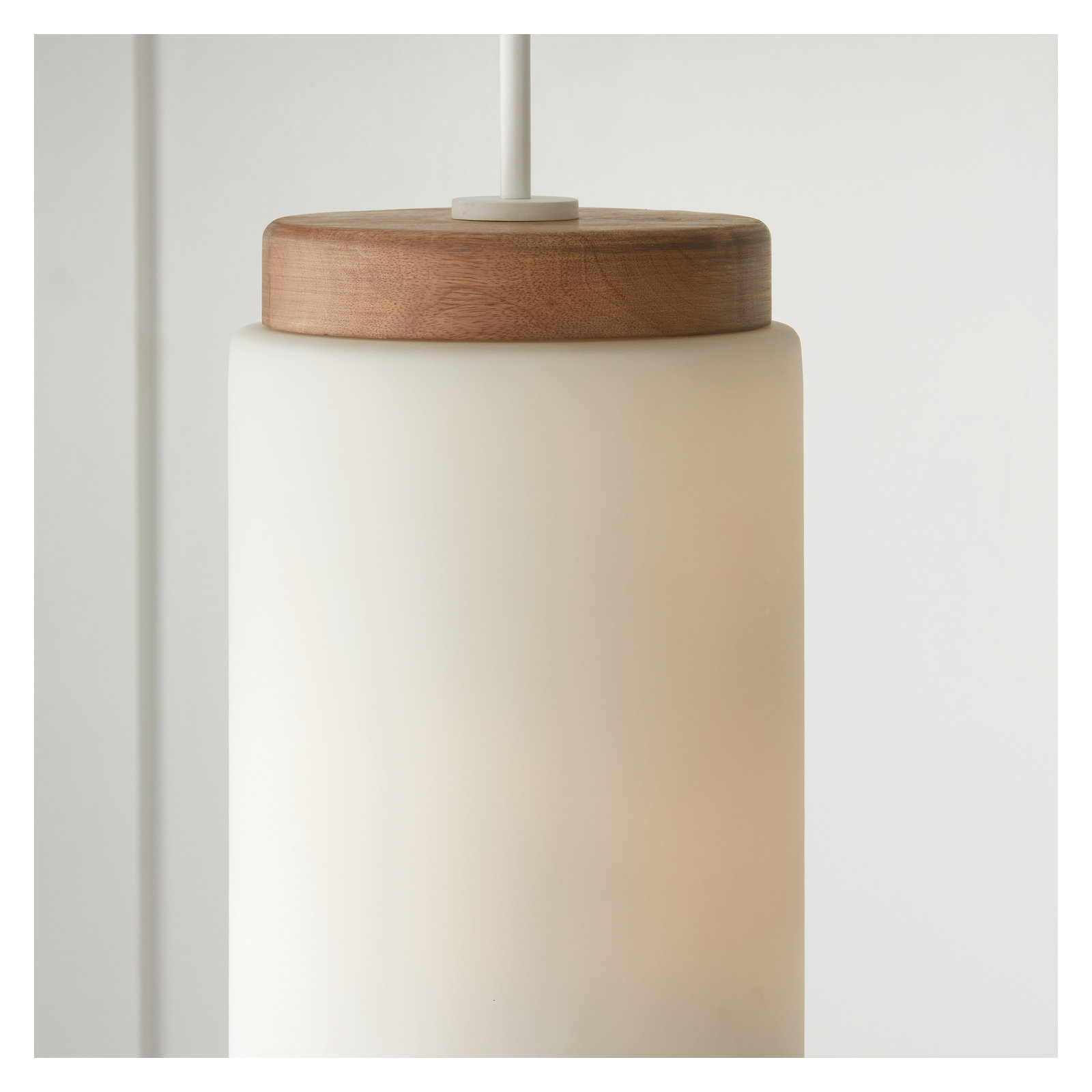 Donal Single Light Glass Dimmable Pendant