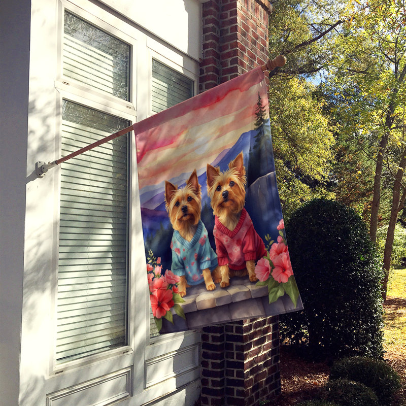 Double Sided 40'' H x 28'' W Polyester Valentine's Day House Flag