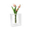 Vase de table Hazael