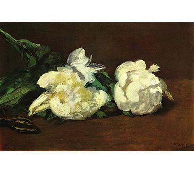 « still life white pivoine » par bain eduard manet, reproduction d’art