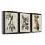 Pl 168 "Moucherolle à queue fourchue", ensemble de 3 peintures sur toile encadrées-1931904636-1931904638