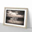 Three Zebras in the Wild - Picture Frame Painting Print-55611610-55611608
