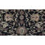 Oriental Area Rug