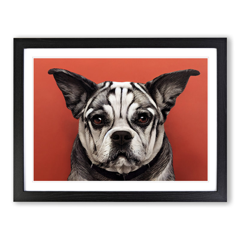 Dog Vol.5 - Single Picture Frame Print, Black, 34cm H x 46cm W x 2cm D