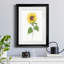 Tournesol II - imprimé-440758248-440758251