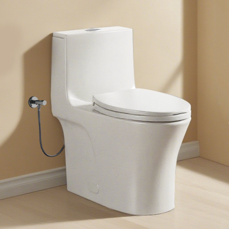 Toilette moderne en céramique à double chasse