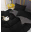 Microfiber Solid Colour Duvet Cover Set with Pillowcases Included-76469790-76469786