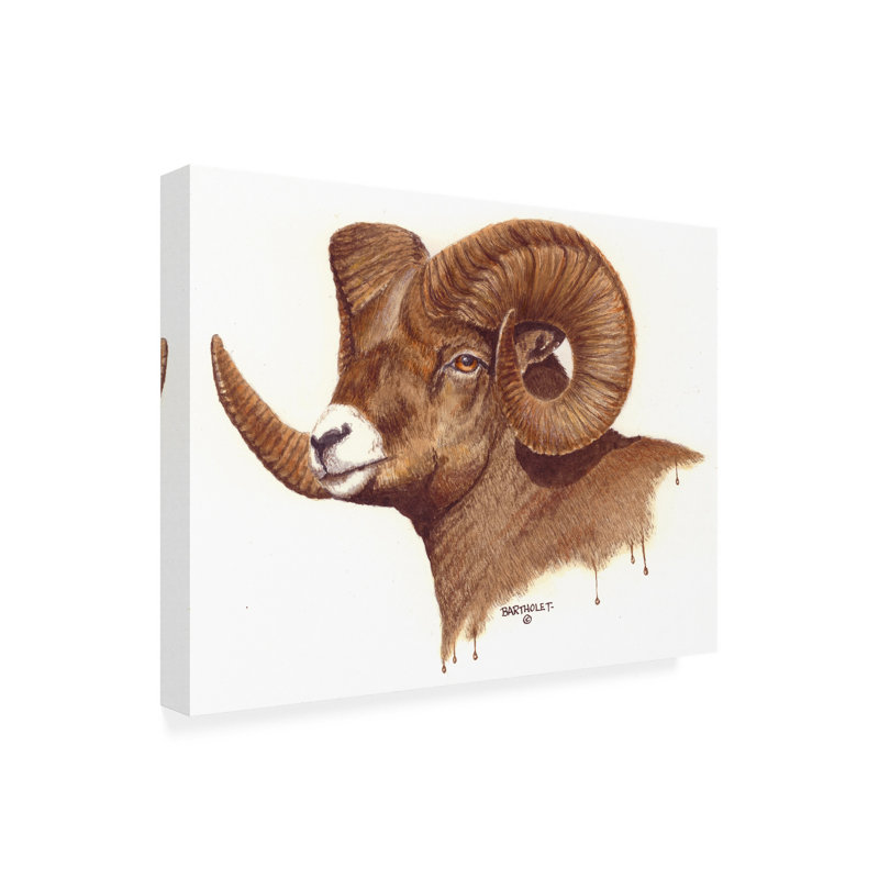 «Dave Bartholet Ram», art sur toile, H 14 po x l 19 po