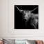 Realistic Black and White Highland Cow Photography Graphic Art Canvas-69341781-69341783