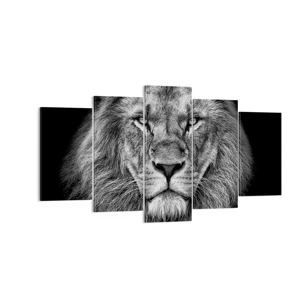 5-tlg. Leinwandbilder-Set Portrait Lion Black and White