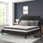Aluino Tufted Platform Bed with 10 Inch Pocket Spring Mattress-863354454-863354458