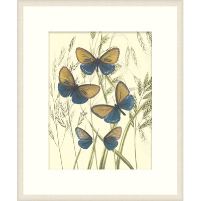 Mariposas 3 Print