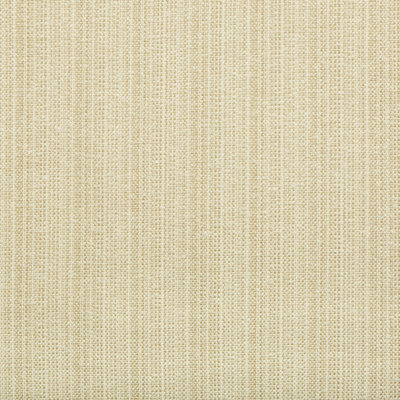 Cruiser Fabric