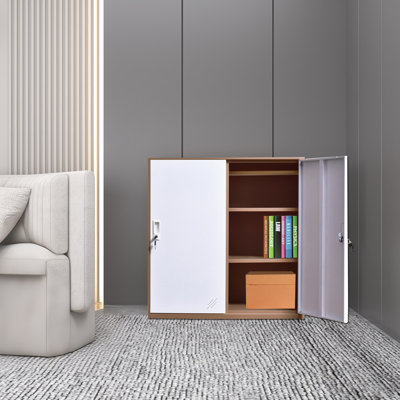 2 Door Locker Cabinet With Shelves And Key Lock 