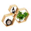Ensemble de 3 tablettes flottantes Mind Reader Hexagon