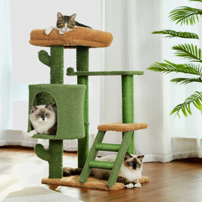 Faleshia 35.6'' H Cat Tree