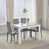 Grey Line Velvet Chairs#4