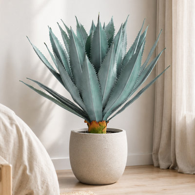 75CM32 Leaf Gray-Green Variegated Dracaena Sun Protection Mechanically Grafted Leaf Indoor/Outdoor Decor Seedling Pot (1 Plant Per Pot)