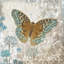 Reproduction d’art sur toile tendue, "blue line" papillon "par alan hopfensperger-15853840