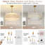 6 - Light Chandelier