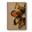 Couronne à oreilles II sur toile-885251956