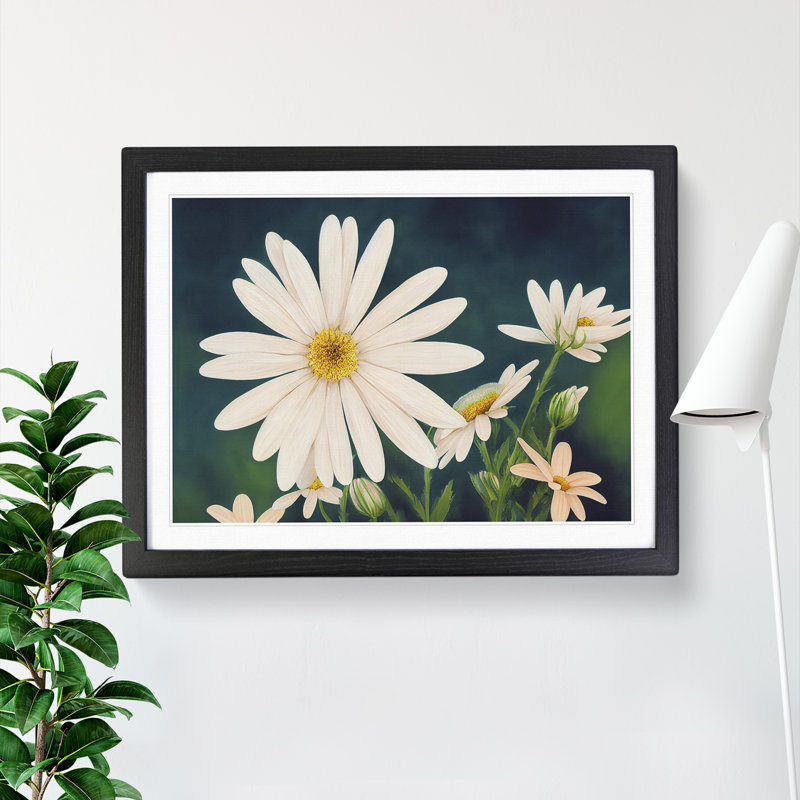 Illuminating Daisy Flowers - Single Picture Frame Print, Black, 46cm H x 64cm W