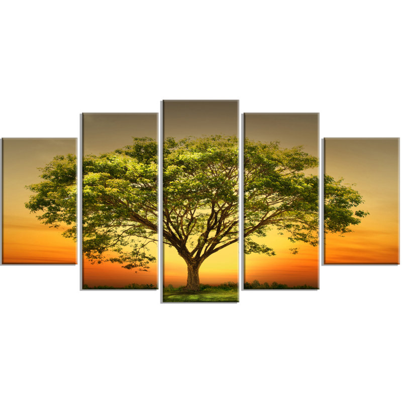 Ensemble de 5 reproductions de photo sur toile tendue "green tree contre le réglage de sun"