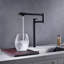 Fapully Kitchen Faucet-62229829