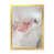 Toile avec cadre photo doré