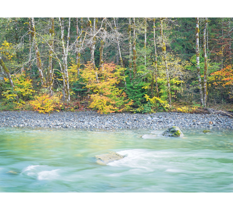 Autumn On The Stillaquamish River Print, Wrapped Canvas, 36" H x 48" W x 1.5" D, No Mat