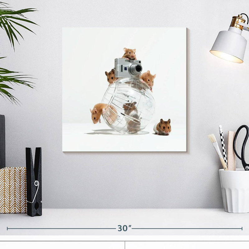 Brampt image de hamster parfait, H 16 po x l 16 po