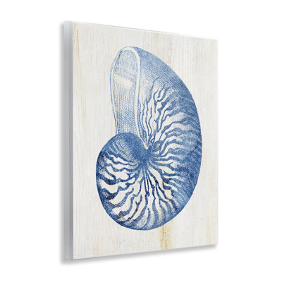 Blue Nautilus Shell Wall Plaque, design by Susan Arnot
