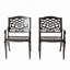 Chaise avec accoudoirs Phoenix (ensemble de 2)