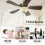 Ventilateur de plafond standard à 5 pales de 42 po Ordaz-257374301-257374275-257374272