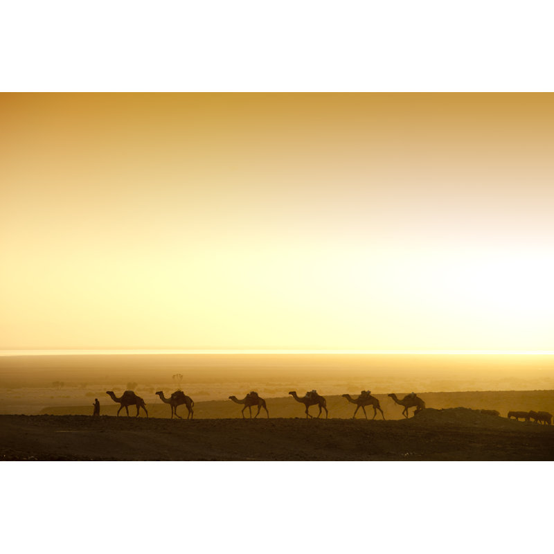 Camels Chasing The Sunrise - Wrapped Canvas Print, 20cm H x 30cm W x 3.8cm D