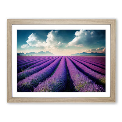 Creative Lavender Flower Field - Single Picture Frame Print