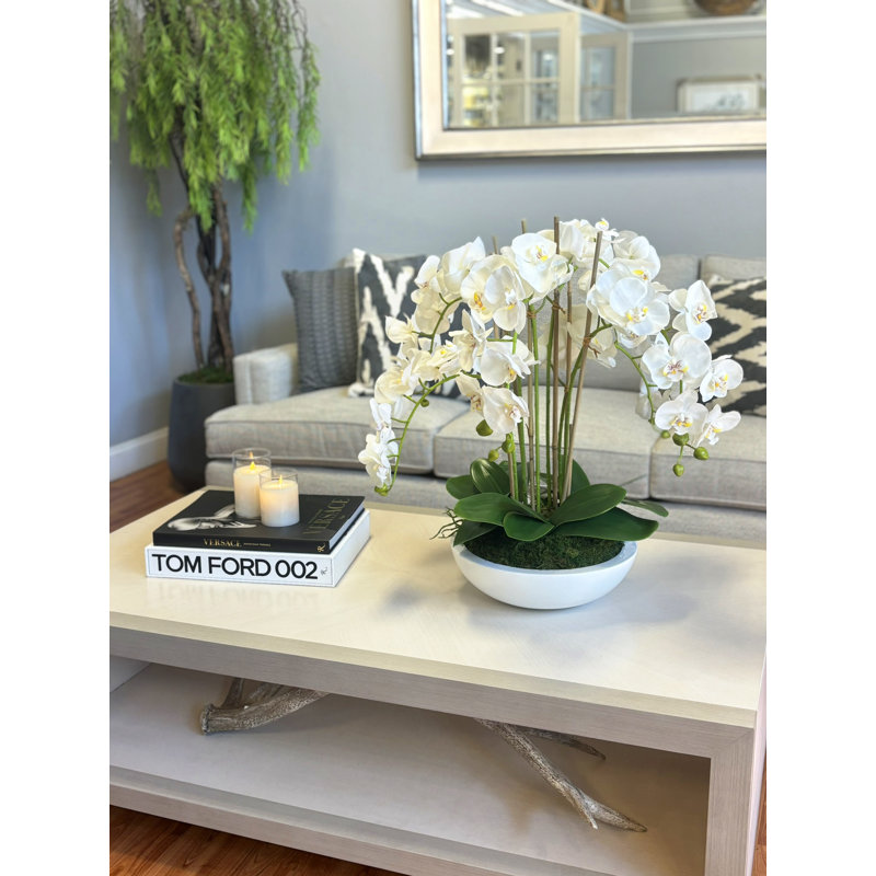 Orchid Arrangement in Ceramic Planter