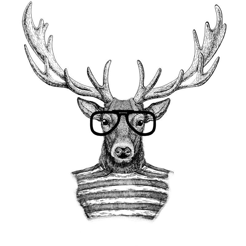 Deer by Helen_Field - Wrapped Canvas Print, 30cm H x 30cm W x 3.8cm D