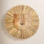 Lion Wall Décor