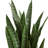 38" Artificial Snake Plant in Planter-32554272