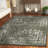 Timothe Performance Oriental Rug-942271267