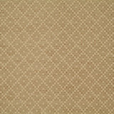 Allure Fabric
