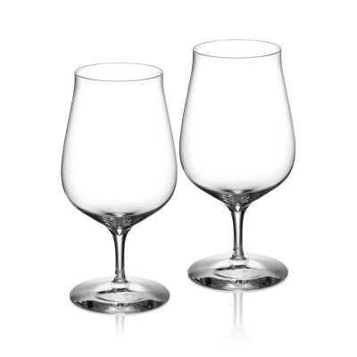 Craft Brew Hybrid Glass