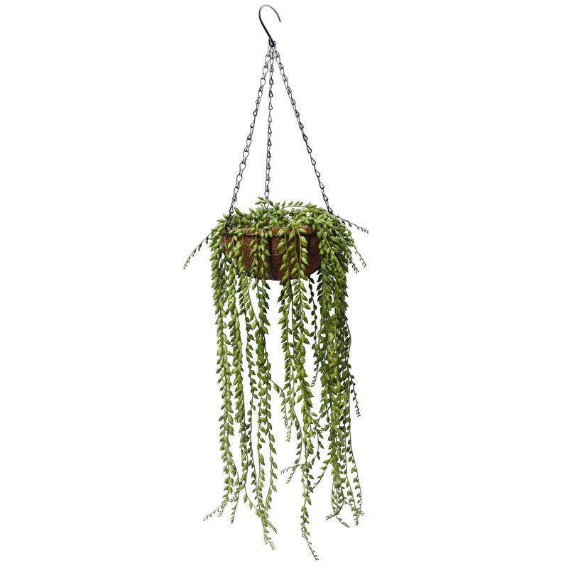 Plante grasse artificielle 25 po dans un panier