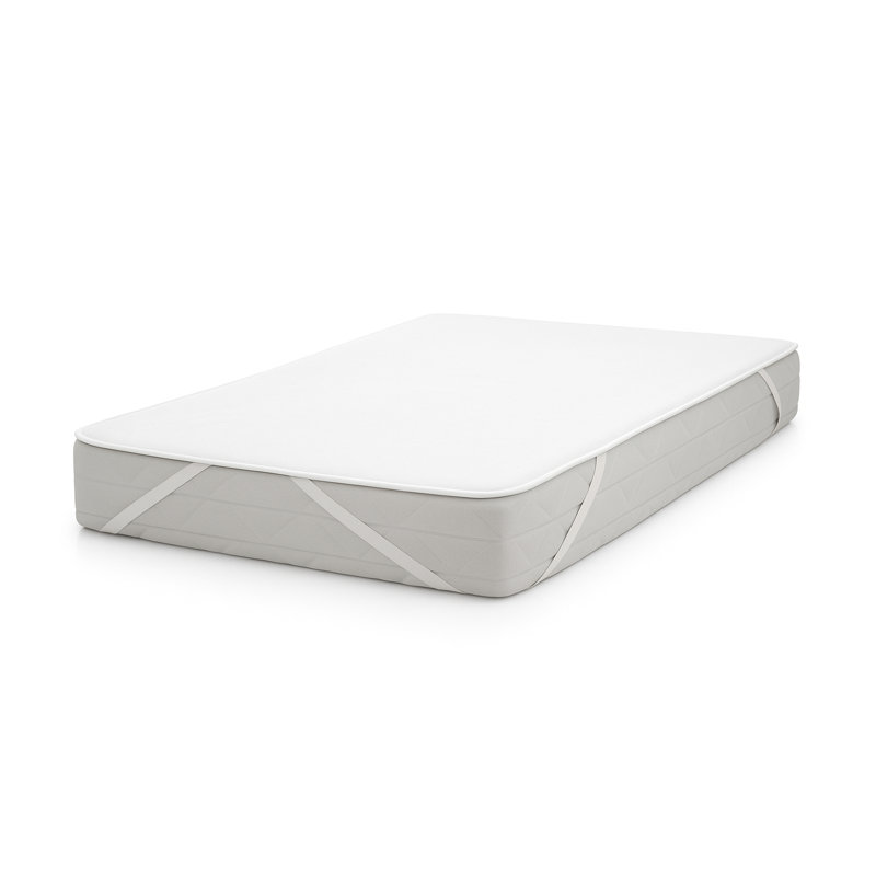 Symple Stuff Mattress Protector Mattress