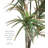 Faux Dracaena Plant in Plastic Pot Liner-1047602192
