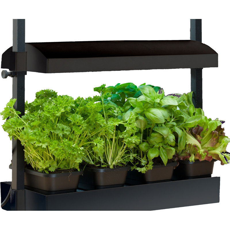 Ensemble de culture pour jardin, H 5,25 po x l 21 po x P 8,5 po, Noir